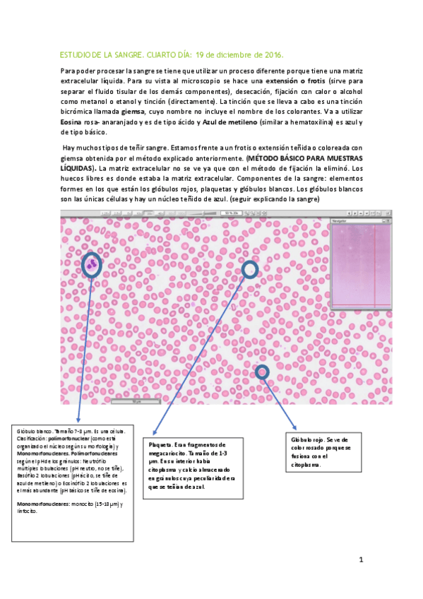 Miniatura del documento CUARTO DÍA PRÁCTICAS.pdf