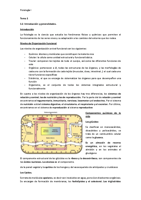 Miniatura del documento Apuntes-Fisiologia.pdf