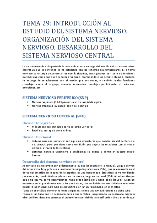 Miniatura del documento Neuroanatomia.pdf