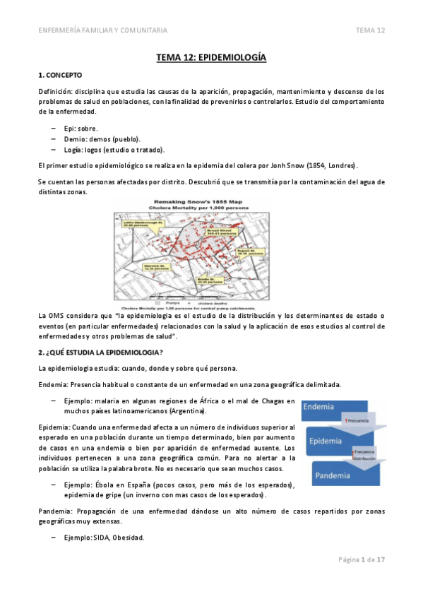 Miniatura del documento TEMA-12EPIDEMIOLOGIA.pdf