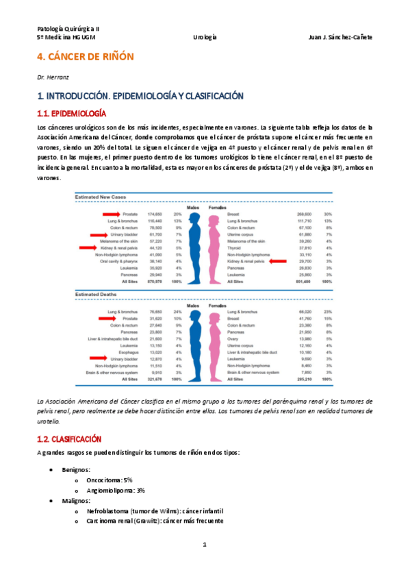 Miniatura del documento TEMA-4-CANCER-DE-RINON.pdf