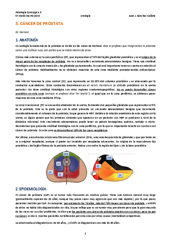 Miniatura del documento TEMA-5-CANCER-DE-PROSTATA.pdf