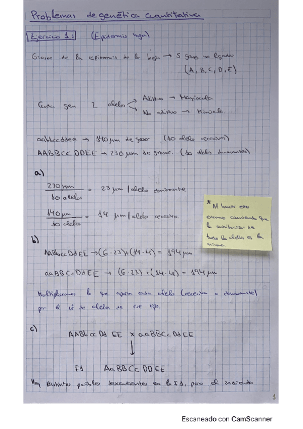 Miniatura del documento Problemas-Genetica-cuantitativa.pdf