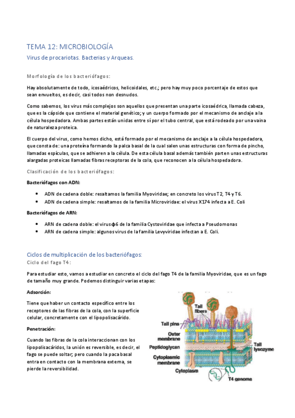 Miniatura del documento Tema-12.pdf