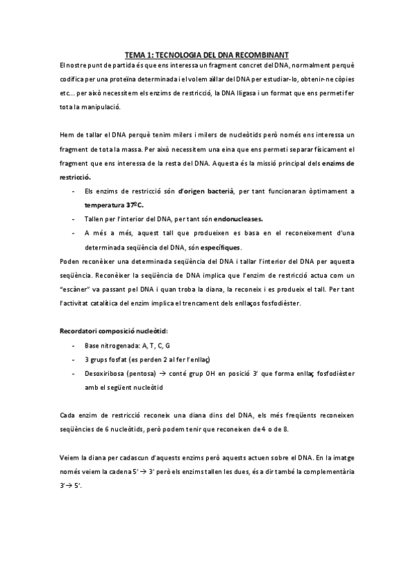 Miniatura del documento FINAL-ENGINYERIA-GENETICA.pdf