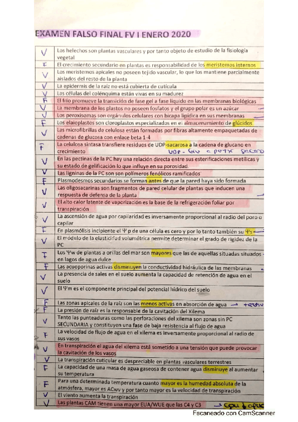 Miniatura del documento FALSO-FINAL-FV-I.pdf