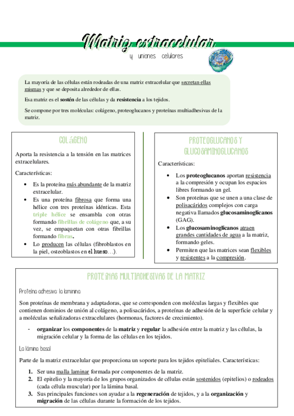 Miniatura del documento Matriz-extracelular-y-uniones-celulares.pdf