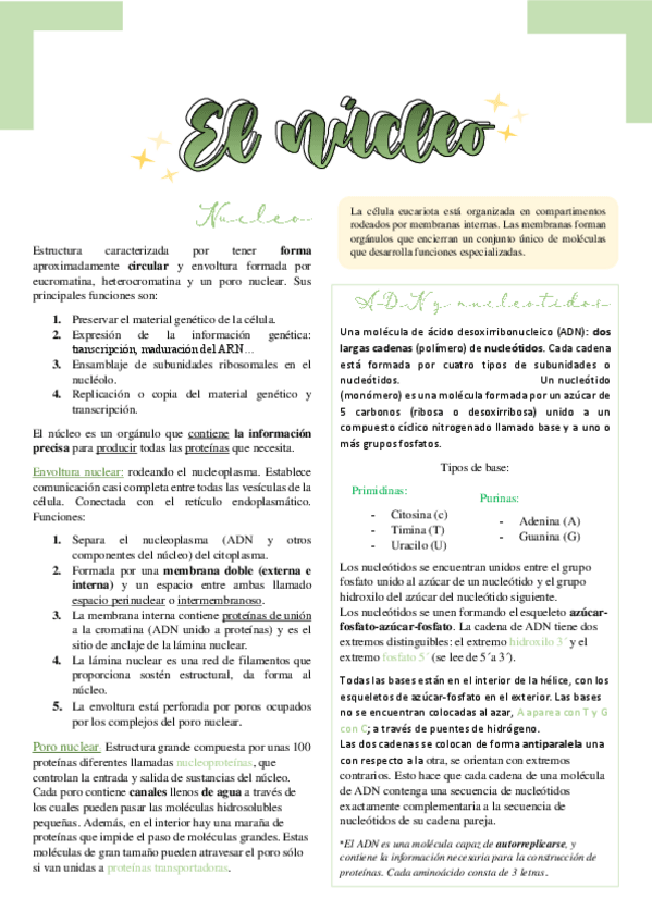 Miniatura del documento El-nucleo.pdf
