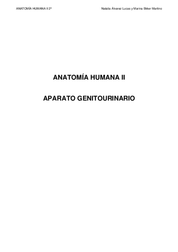 Miniatura del documento ANATOMIA-HUMANA-II-Aparato-Genitourinario.pdf