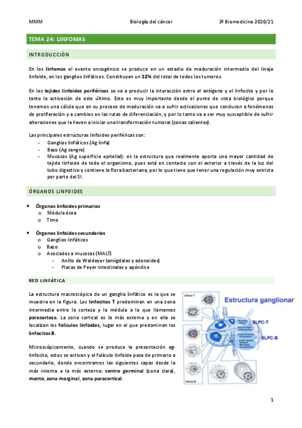 Miniatura del documento TEMA-24-Linfomas.pdf