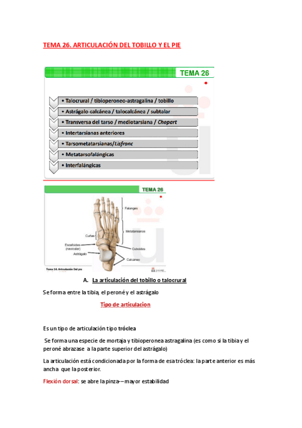 Miniatura del documento ANATOMIA-TEMA-26.pdf