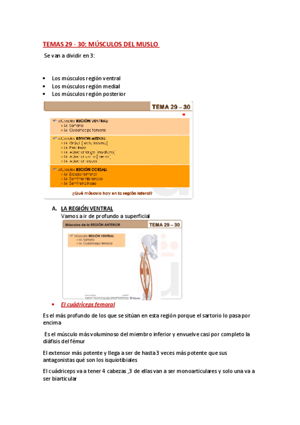 Miniatura del documento ANATOMIA-TEMA-29-Y-30.pdf