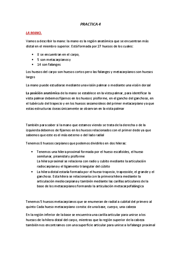 Miniatura del documento ANATOMIA-PRACTICA-4.pdf