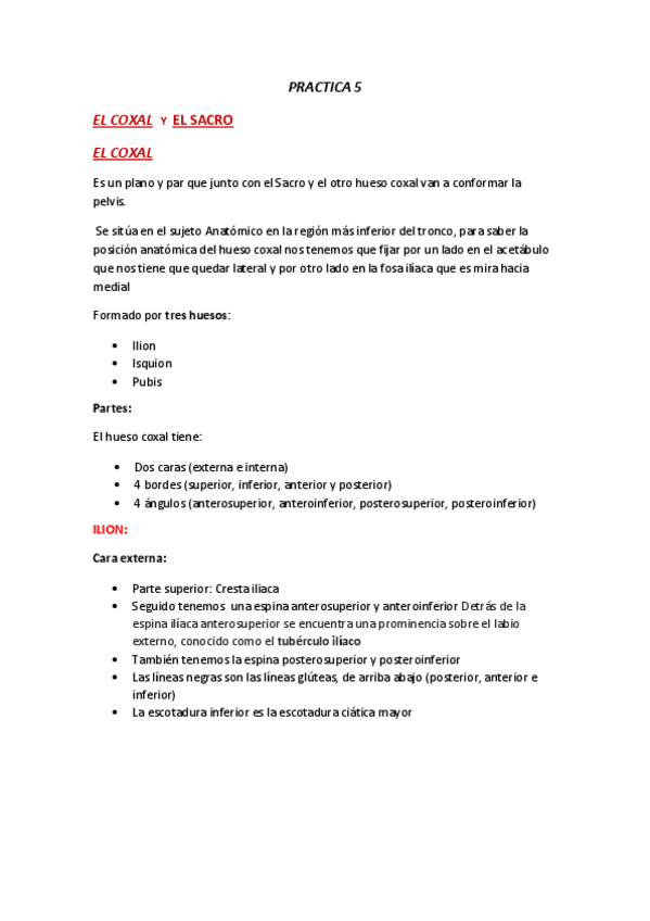 Miniatura del documento ANATOMIA-PRACTICA-5.pdf