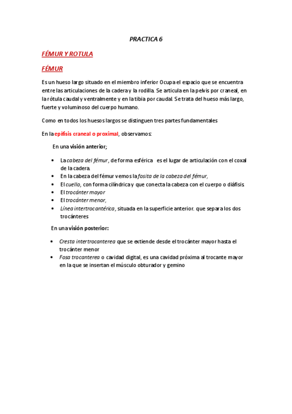 Miniatura del documento ANATOMIA-PRACTICA-6.pdf