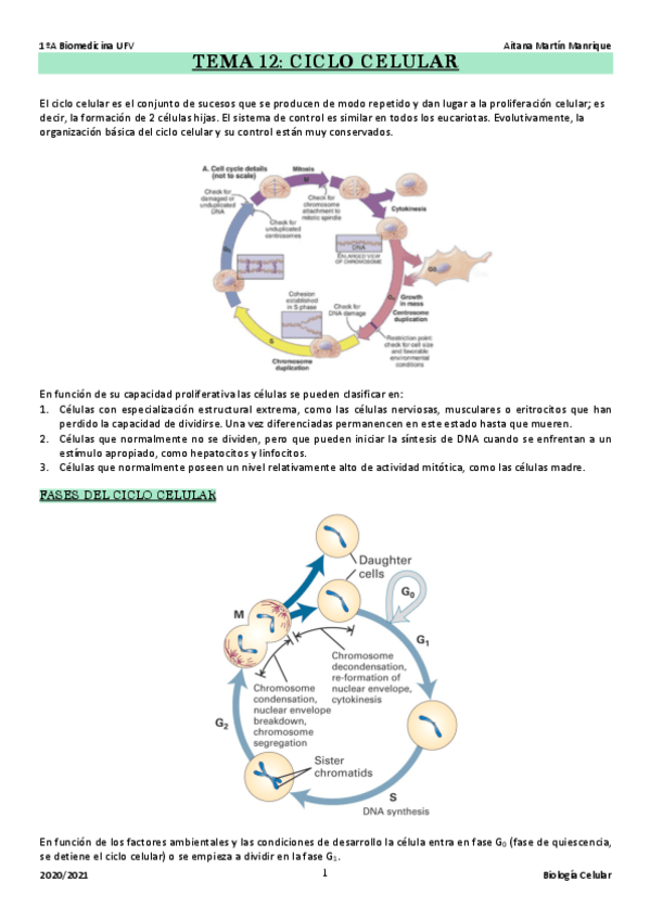 Miniatura del documento TEMA-12.pdf