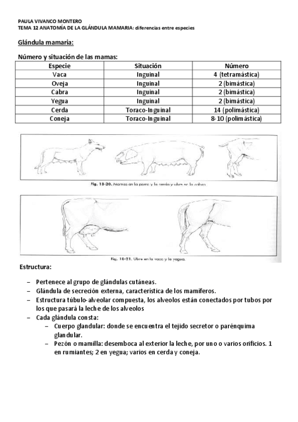 Miniatura del documento Tema-12.pdf