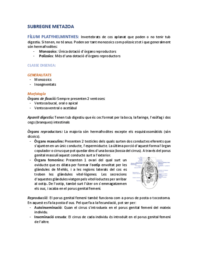 Miniatura del documento Segon-parcial.pdf