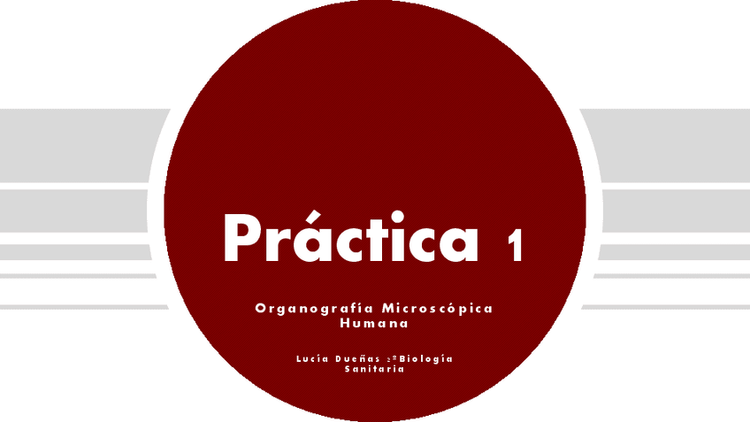 Miniatura del documento Practica-1.pdf