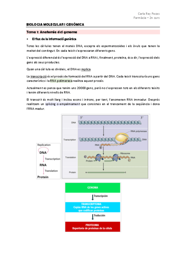 Miniatura del documento Tots-els-apunts-de-biologia-molecular-i-genomica.pdf
