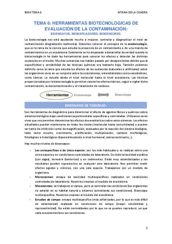 Miniatura del documento TEMA-6.pdf