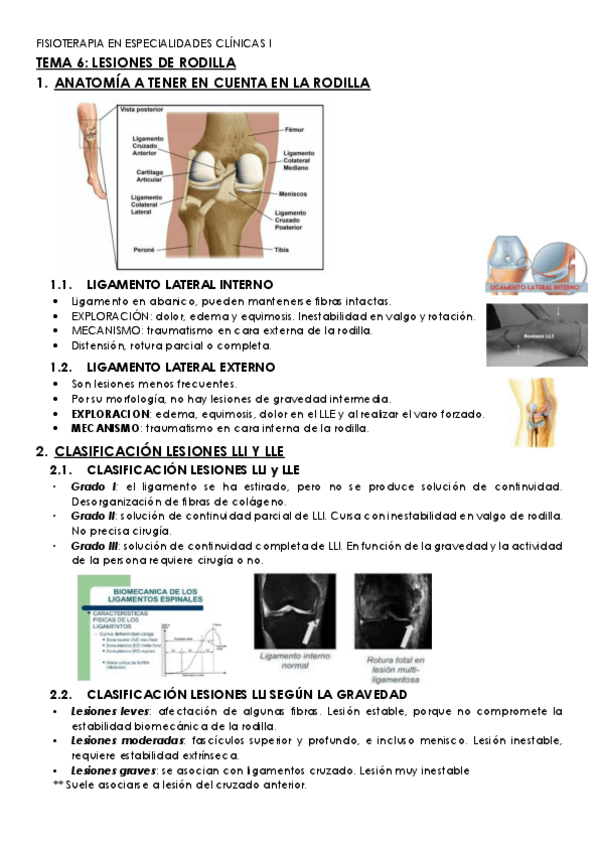 Miniatura del documento TEMA-6-especialidades-clinicas-I.pdf