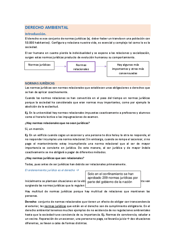 Miniatura del documento DERECHO-AMBIENTAL1.pdf