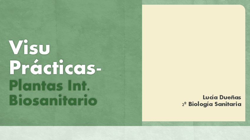 Miniatura del documento Visu-Practicas-PIB.pdf