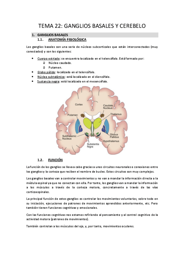 Miniatura del documento TEMA-22.pdf