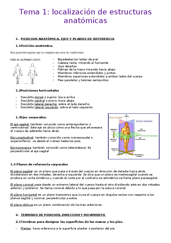 Miniatura del documento tema-1-.docx