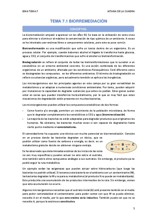 Miniatura del documento TEMA-7.pdf