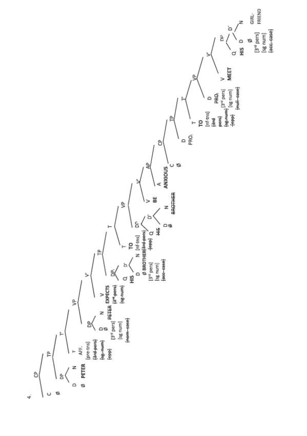 Miniatura del documento Gramatica-Generativa-Ejemplo-4.pdf