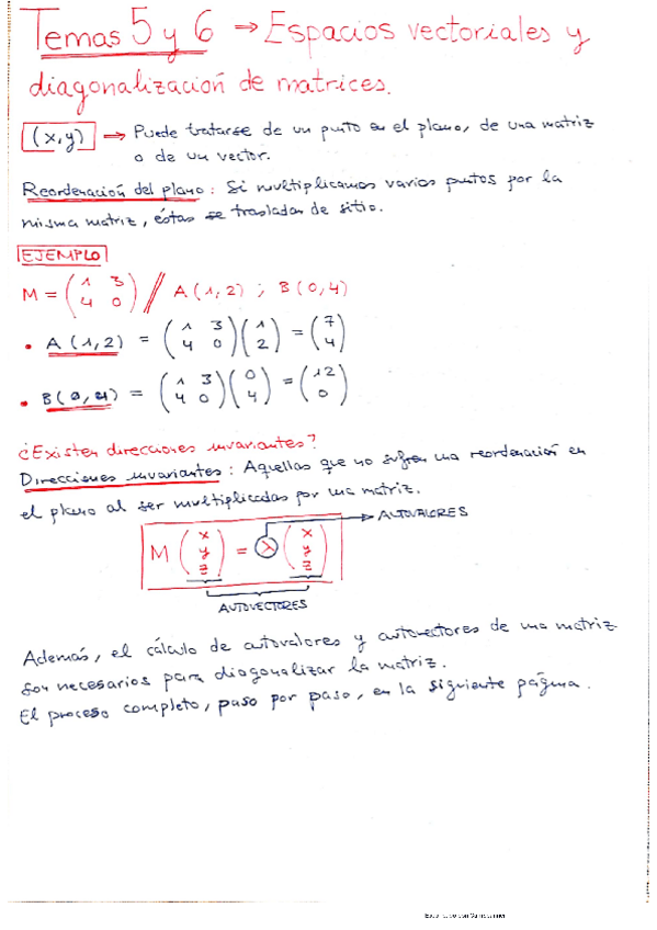 Miniatura del documento ApuntesT5-6-7.pdf