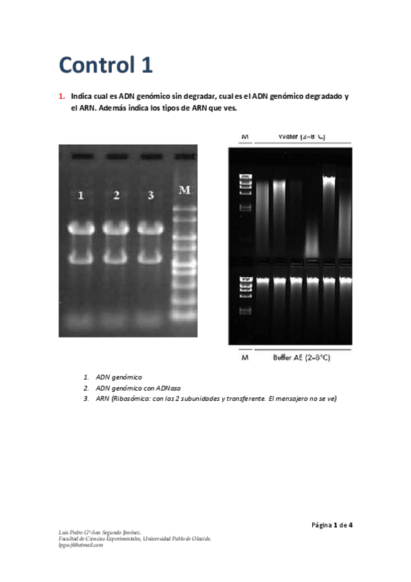 Miniatura del documento Control-1.pdf