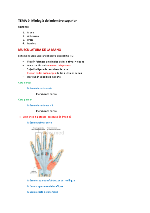 Miniatura del documento Miologia-miembro-superior.pdf