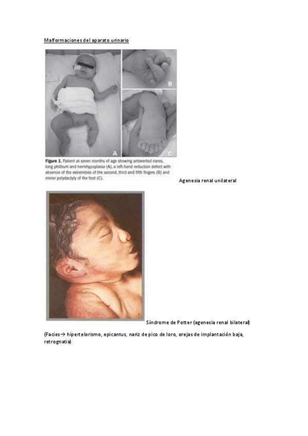 Miniatura del documento Recopilatorio-Imagenes-Nefrouro.pdf