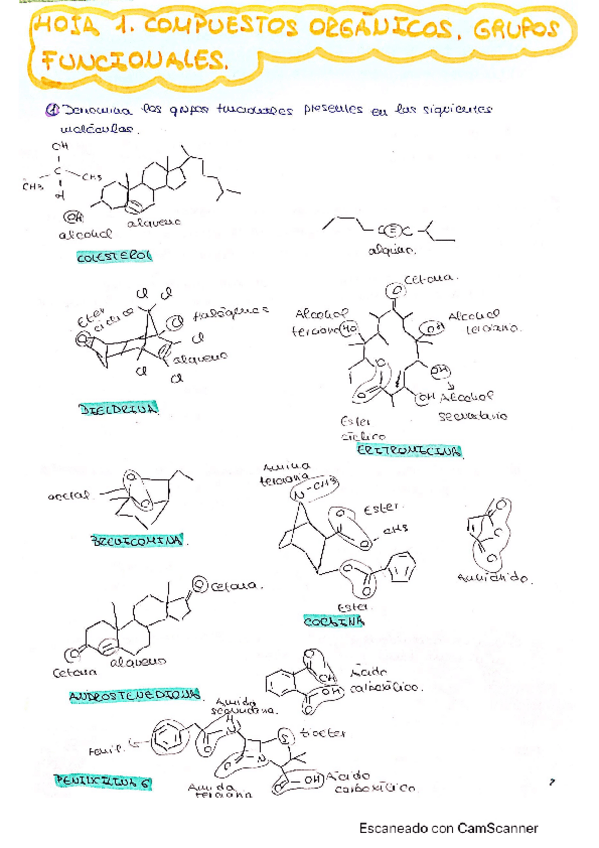 Miniatura del documento EjerciciosT1.pdf