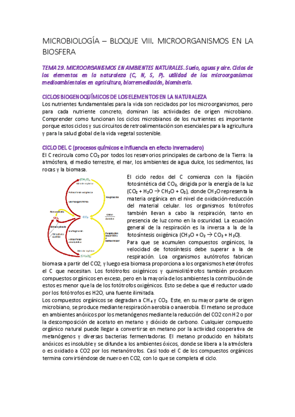 Miniatura del documento MICROBIOLOGIA-BLOQUE-VIII-TEMA-29.pdf