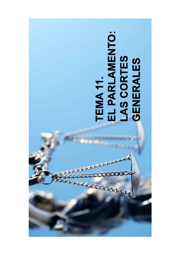 Miniatura del documento TEMA-11.pdf