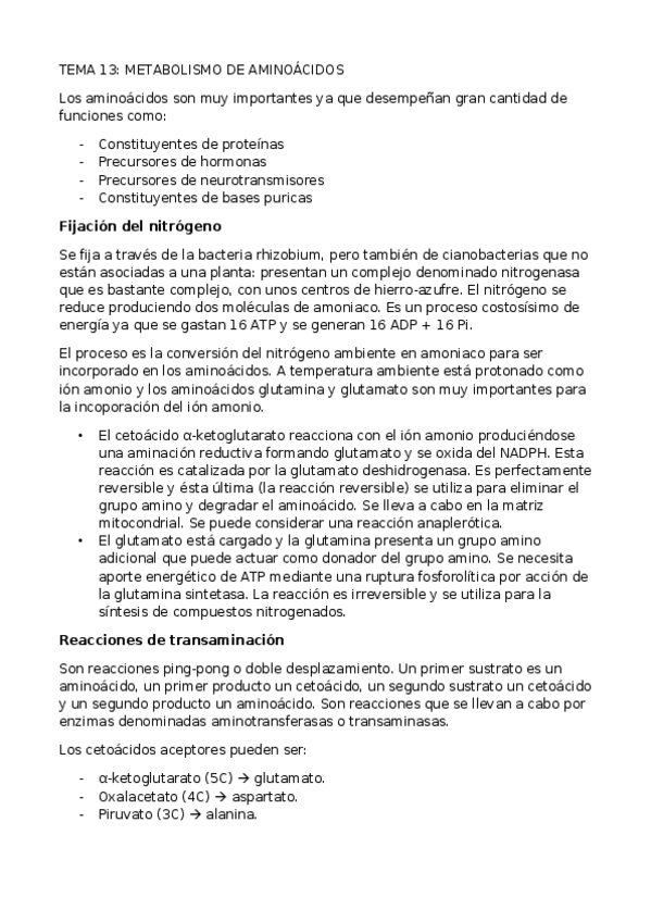 Miniatura del documento TEMA-13.docx