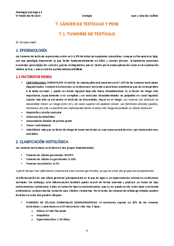 Miniatura del documento TEMA-7-CANCER-DE-PENE-Y-TESTICULO.pdf