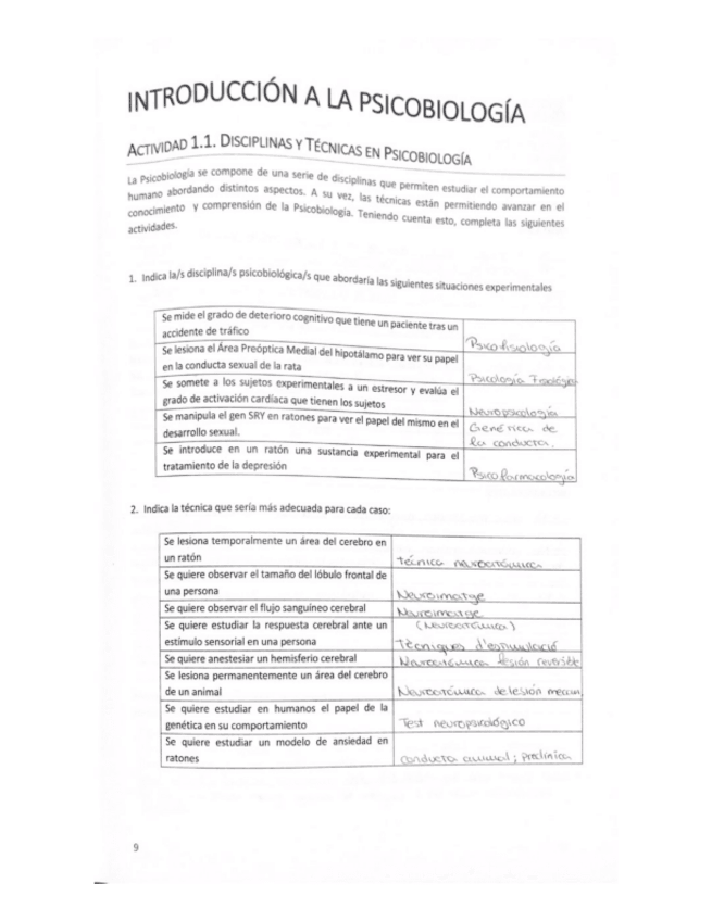 Miniatura del documento Explora-tu-cerebro-Actividades-psicobiologia.pdf