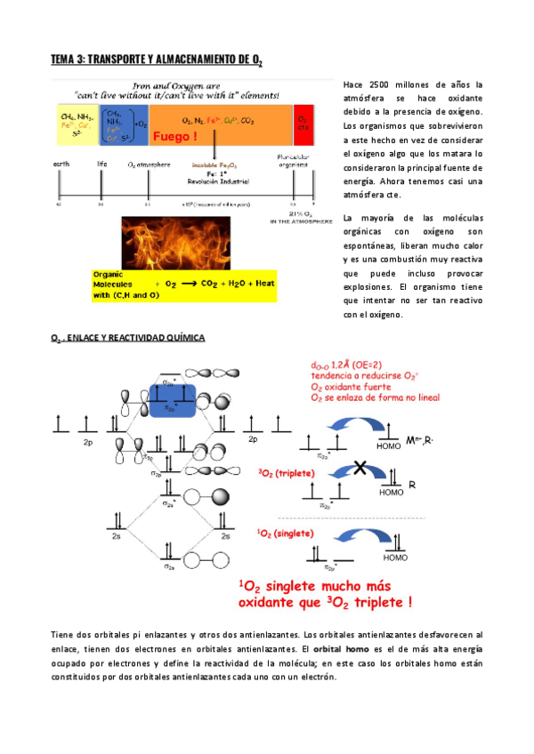 Miniatura del documento TEMA-3-TRANSPORTE-Y-ALMACENAMIENTO-DE-O2.pdf