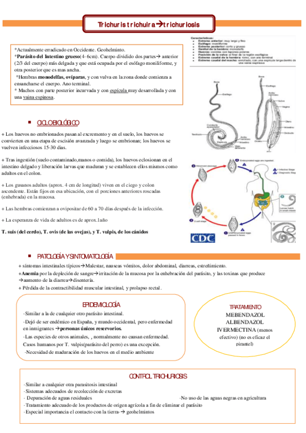 Miniatura del documento T-14.pdf