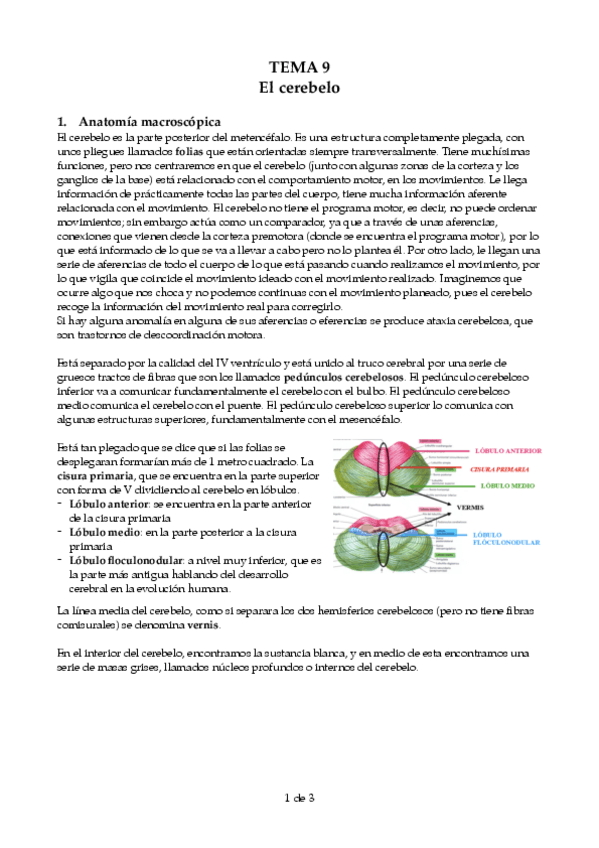 Miniatura del documento tema-9-FB-.pdf