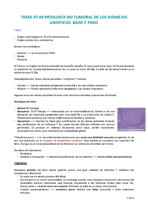 Miniatura del documento T.pdf