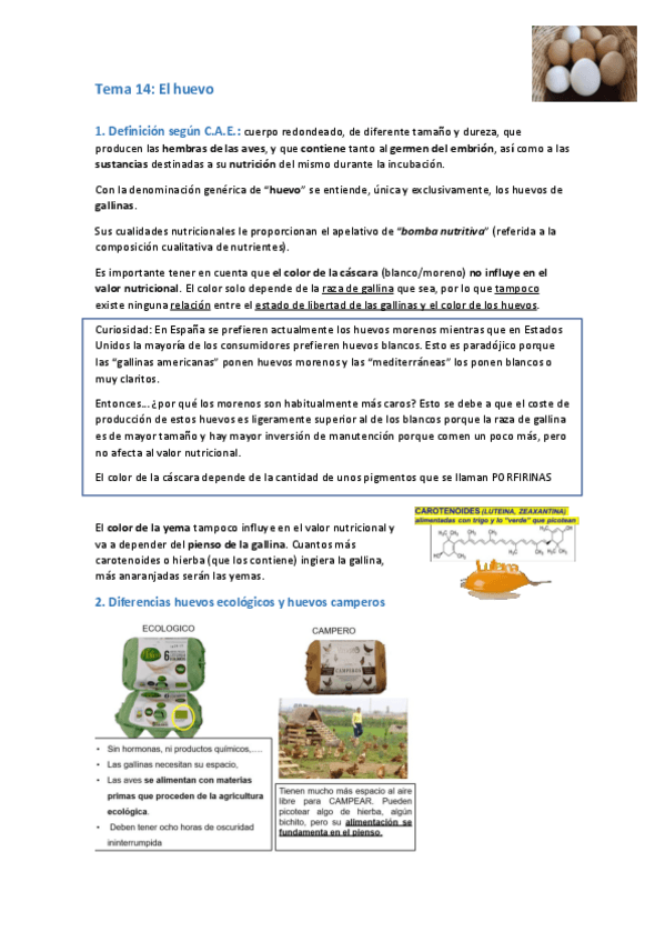 Miniatura del documento Huevo-1.pdf