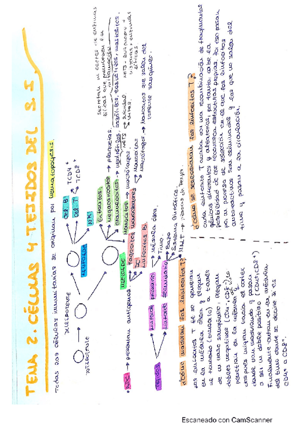 Miniatura del documento T2.pdf