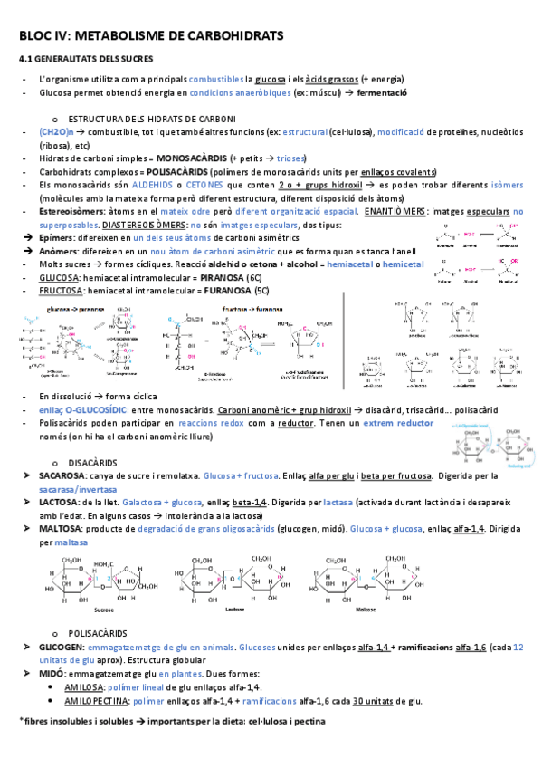 Miniatura del documento BLOC-IVmetabolisme-de-carbohidrats.pdf