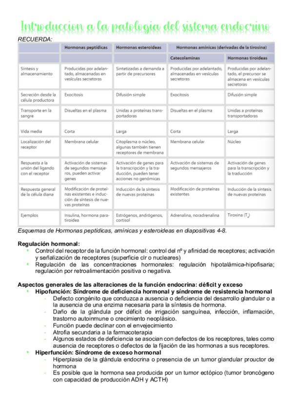 Miniatura del documento Tema-8-Endocrino-TODOS-LOS-TEMAS.pdf